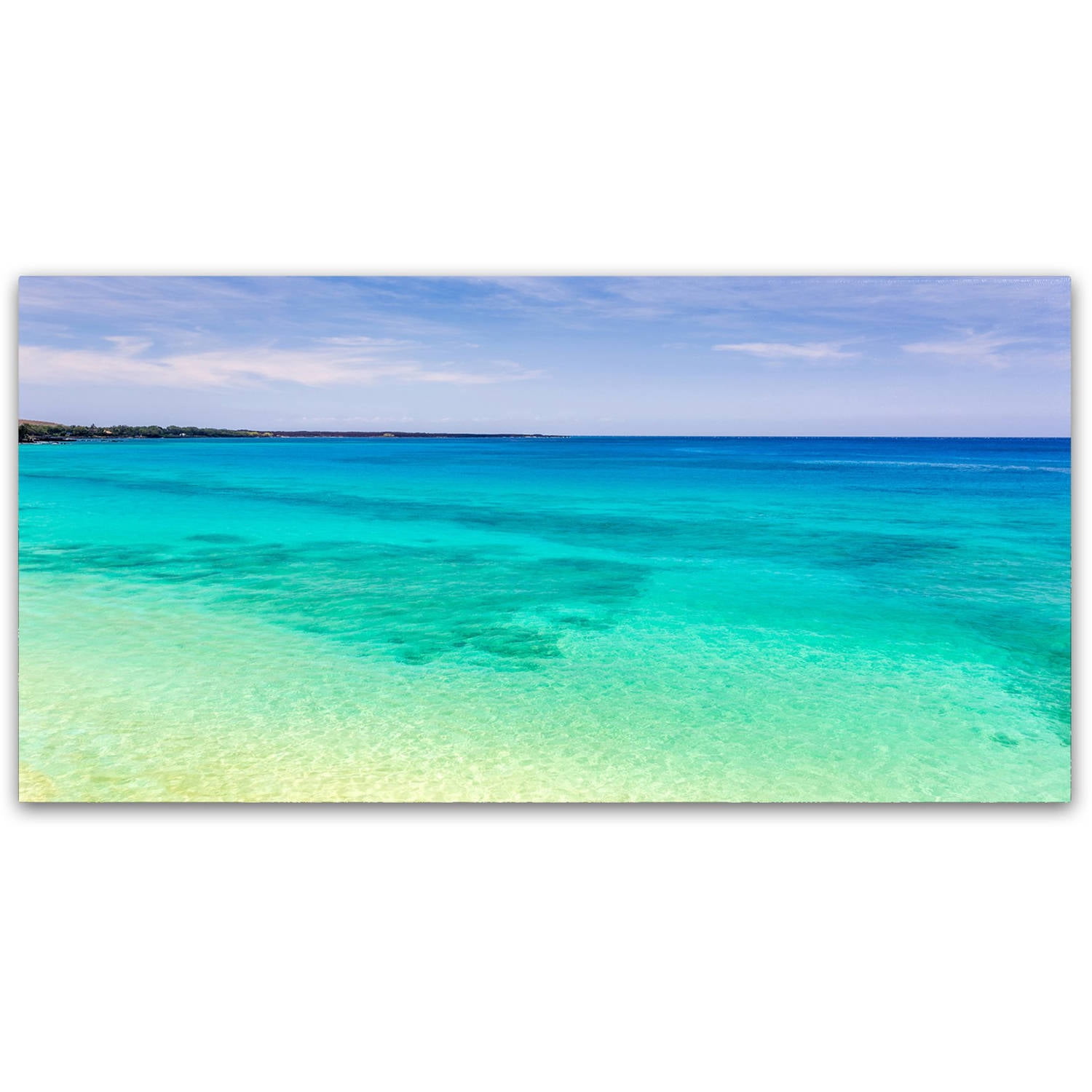 Trademark Fine Art 'Blue Hawaii' Canvas Art by Pierre Leclerc
