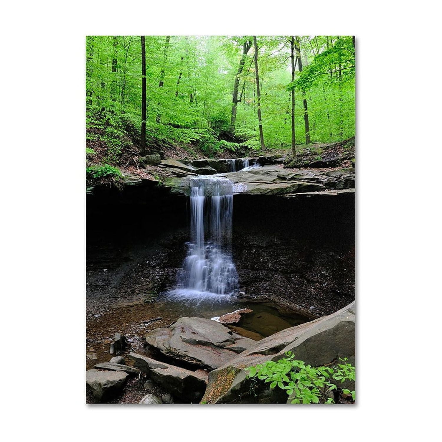 Trademark Fine Art "Blue Hen Falls" Canvas Wall Art by Kurt Shaffer