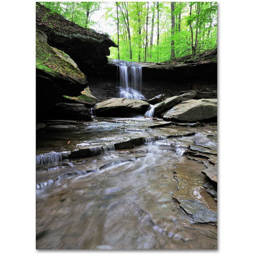 Trademark Fine Art "Blue Hen Falls in Spring" Canvas Wall Art by Kurt Shaffer