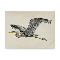 Trademark Fine Art 'Blue Heron Rendering III' Canvas Art by Melissa Wang