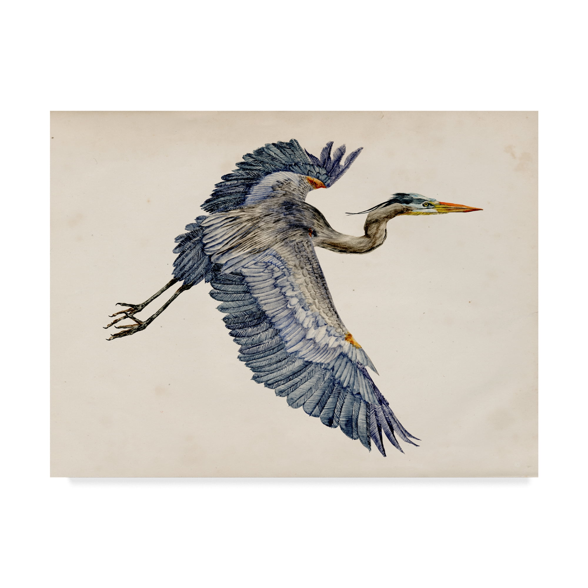 Trademark Fine Art 'Blue Heron Rendering IV' Canvas Art by Melissa Wang