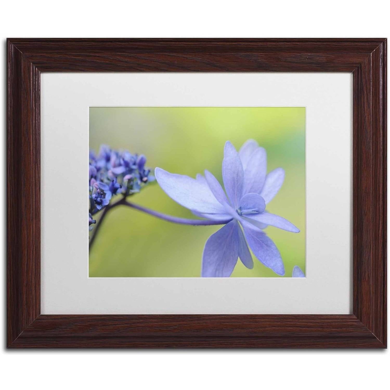 Trademark Fine Art 'Blue Hydrangea' Canvas Art by Cora Niele, White Matte, Wood Frame