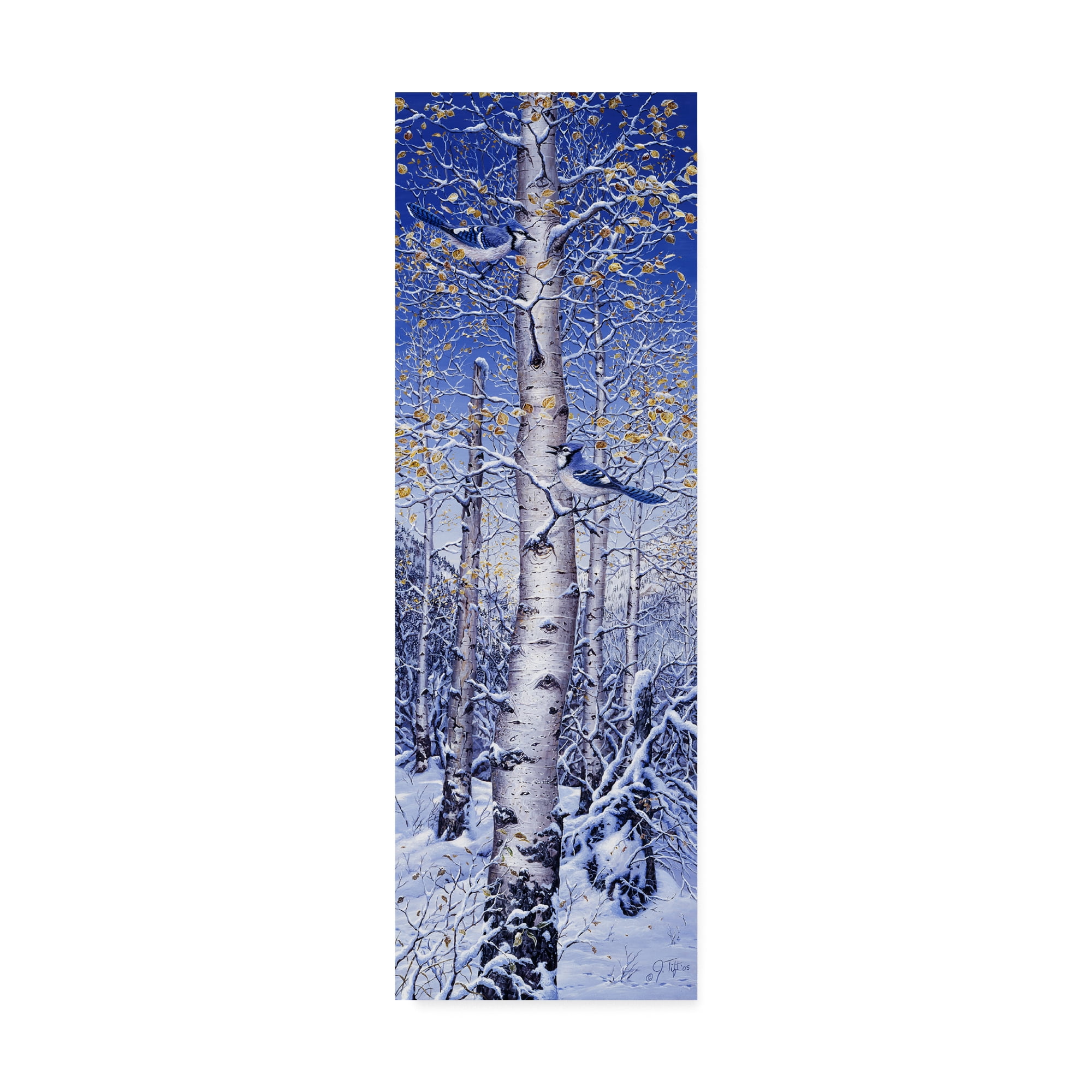 Trademark Fine Art 'Blue Jay' Canvas Art by Jeff Tift