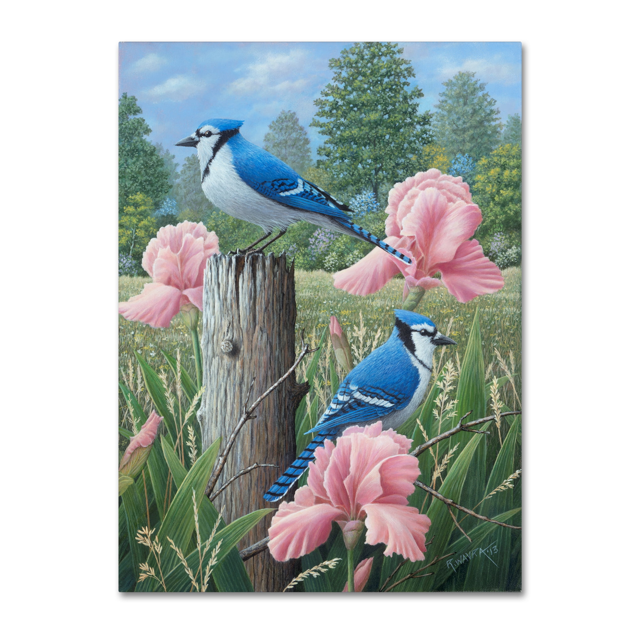 Trademark Fine Art 'Blue Jays' Canvas Art by Robert Wavra