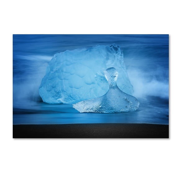 Trademark Fine Art 'Blue Jewel' Canvas Art by Philippe Sainte-Laudy