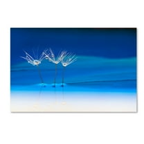 Trademark Fine Art 'Blue Landscape' Canvas Art by Heidi Westum