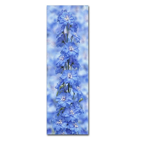 Trademark Fine Art 'Blue Larkspur' Canvas Art by Cora Niele
