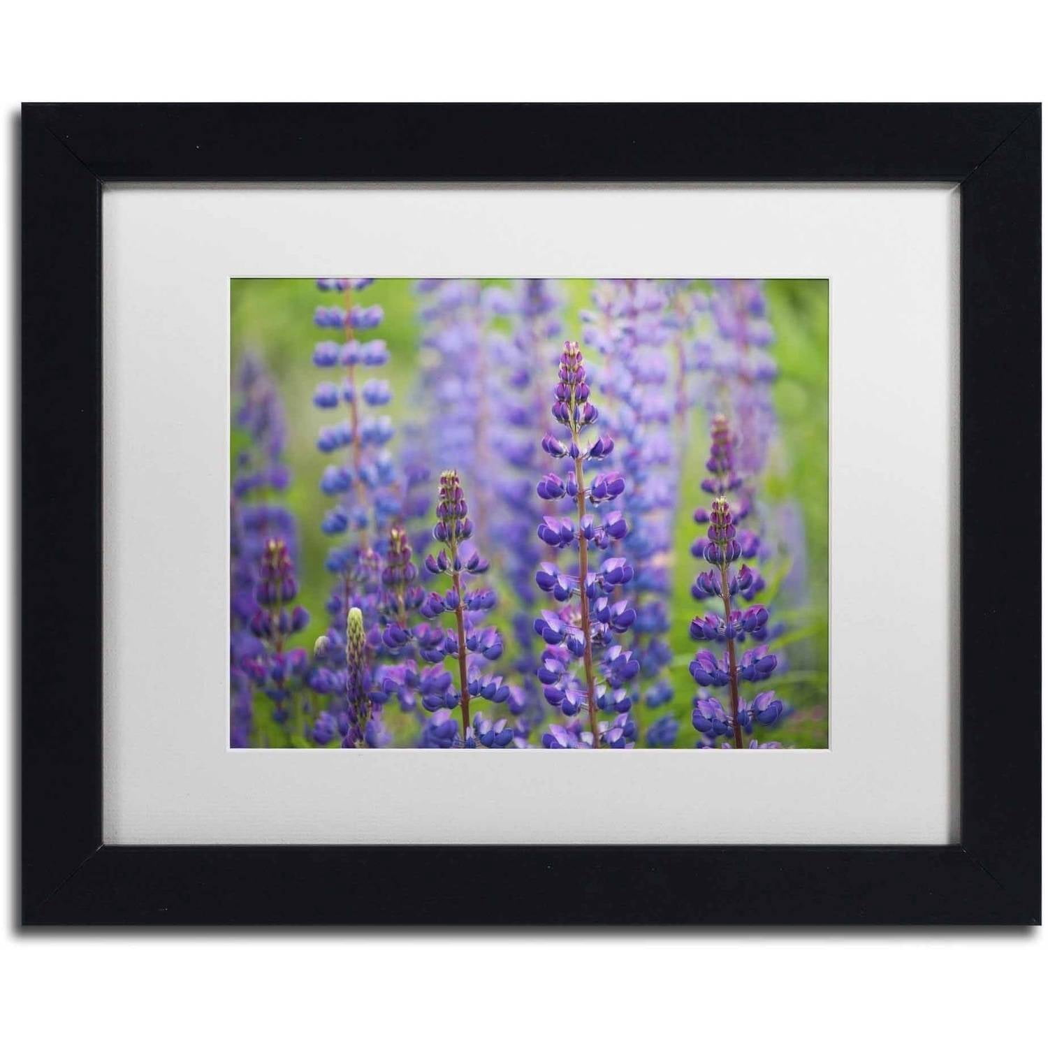 Trademark Fine Art 'Blue Lupine Flowers' Canvas Art by Cora Niele, White Matte, Black Frame