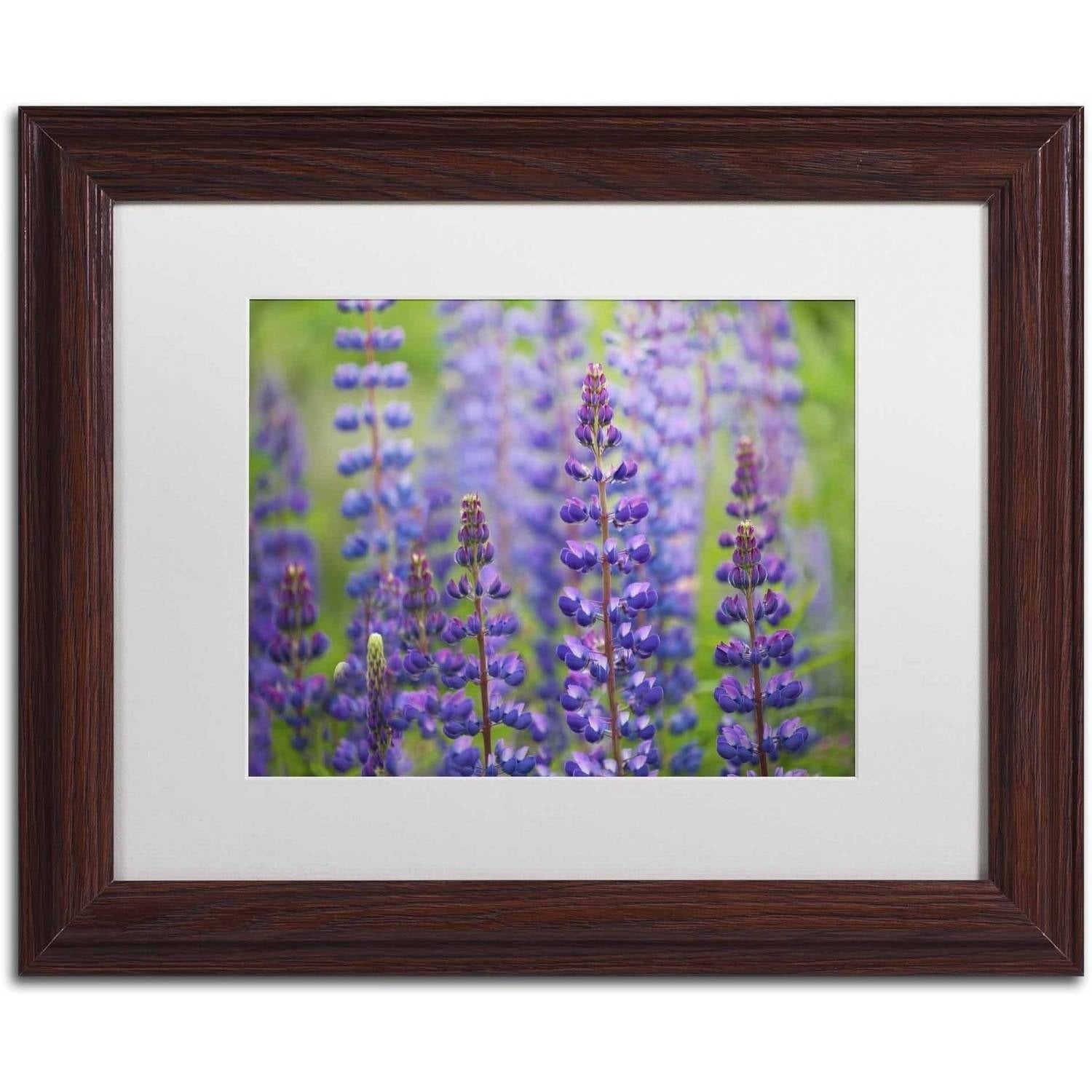 Trademark Fine Art 'Blue Lupine Flowers' Canvas Art by Cora Niele, White Matte, Wood Frame