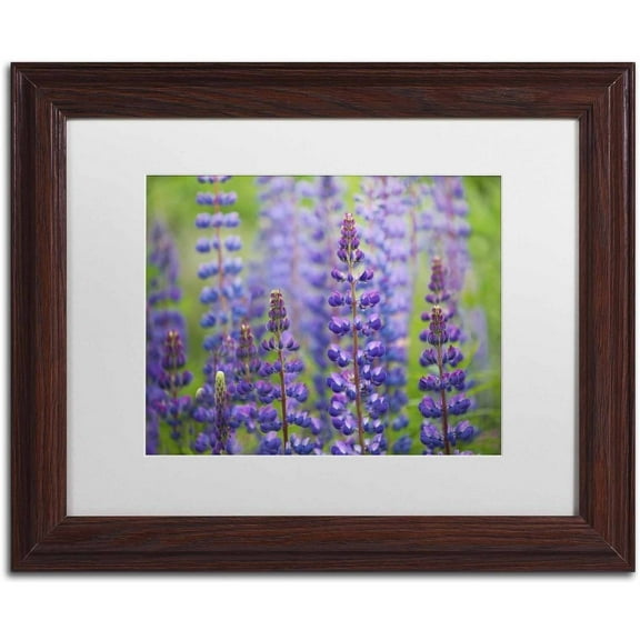 Trademark Fine Art 'Blue Lupine Flowers' Canvas Art by Cora Niele, White Matte, Wood Frame