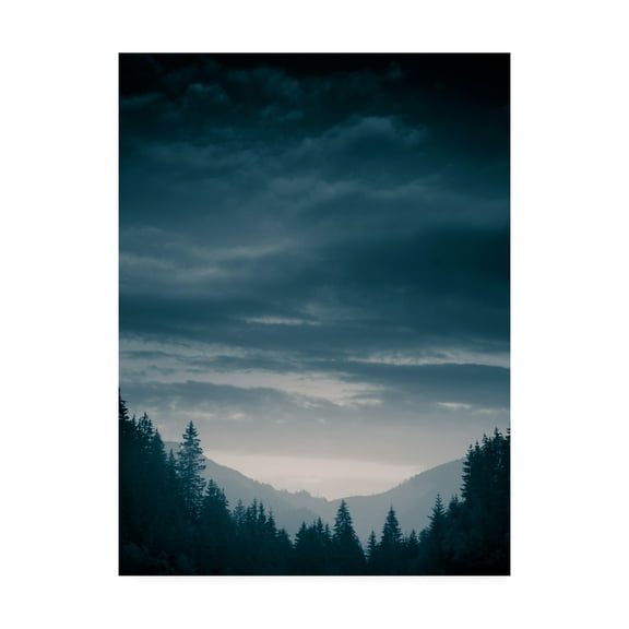 Trademark Fine Art 'Blue Mountains IV' Canvas Art by PhotoINC Studio