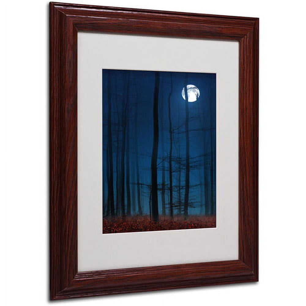 Trademark Fine Art "Blue Note" Canvas Art by Philippe Sainte-Laudy, Wood Frame