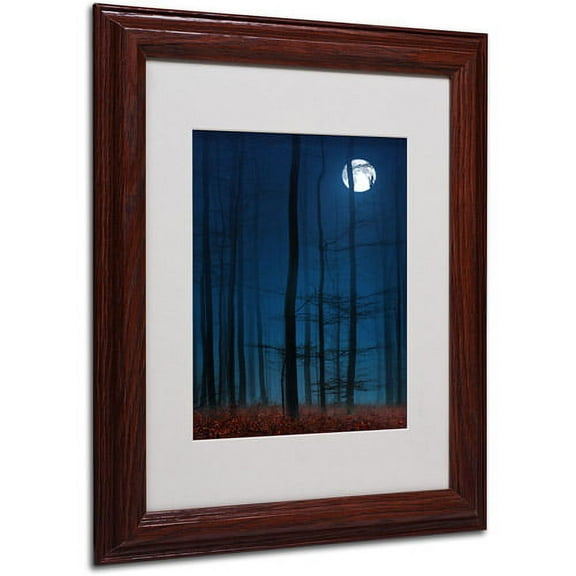 Trademark Fine Art "Blue Note" Canvas Art by Philippe Sainte-Laudy, Wood Frame