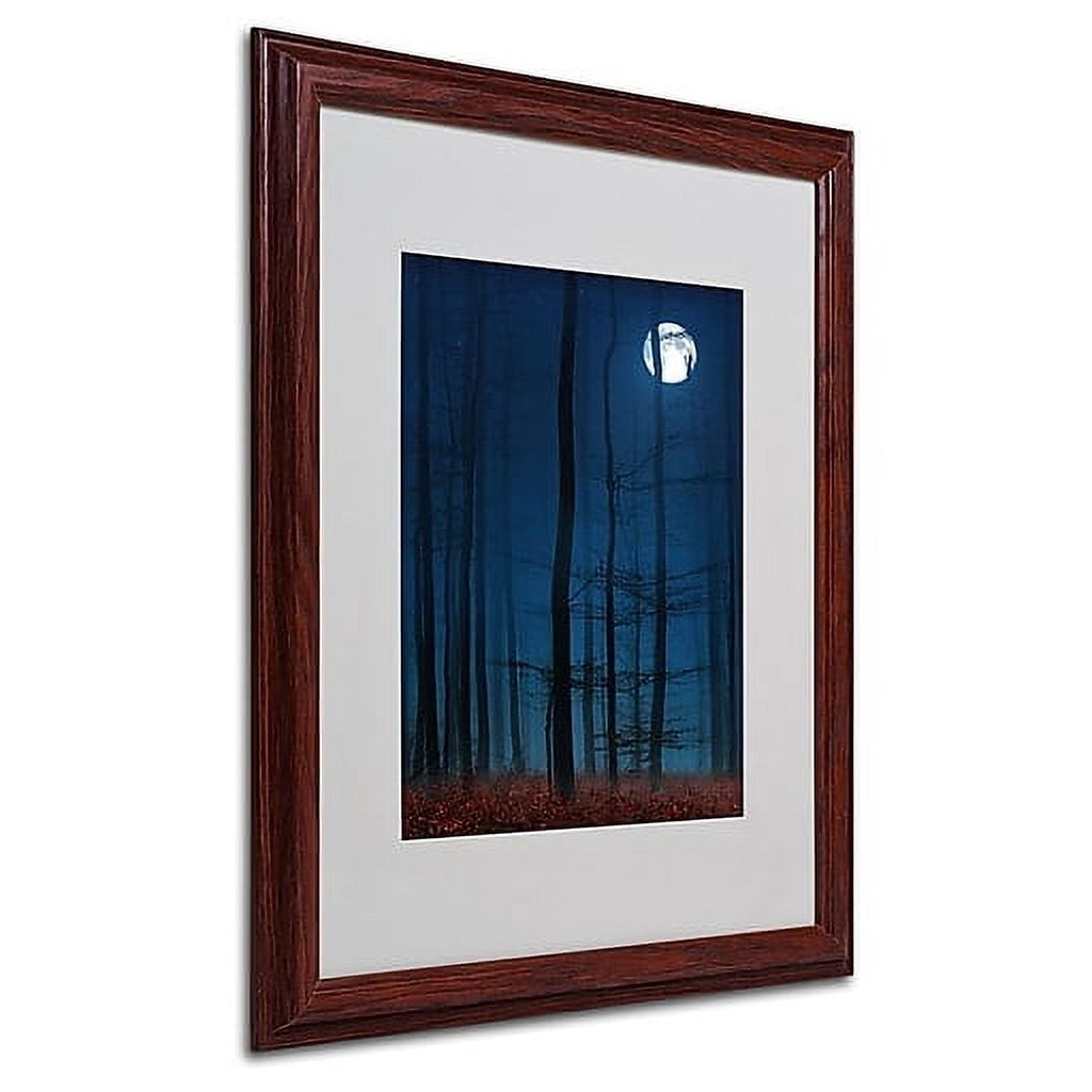 Trademark Fine Art "Blue Note" Canvas Art by Philippe Sainte-Laudy, Wood Frame