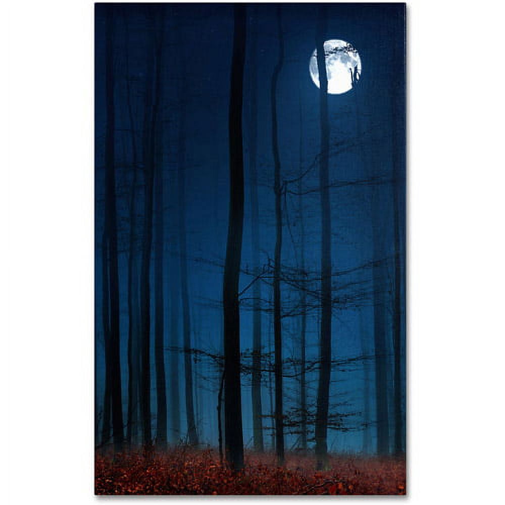 Trademark Fine Art "Blue Note" Canvas Art by Philippe Sainte-Laudy