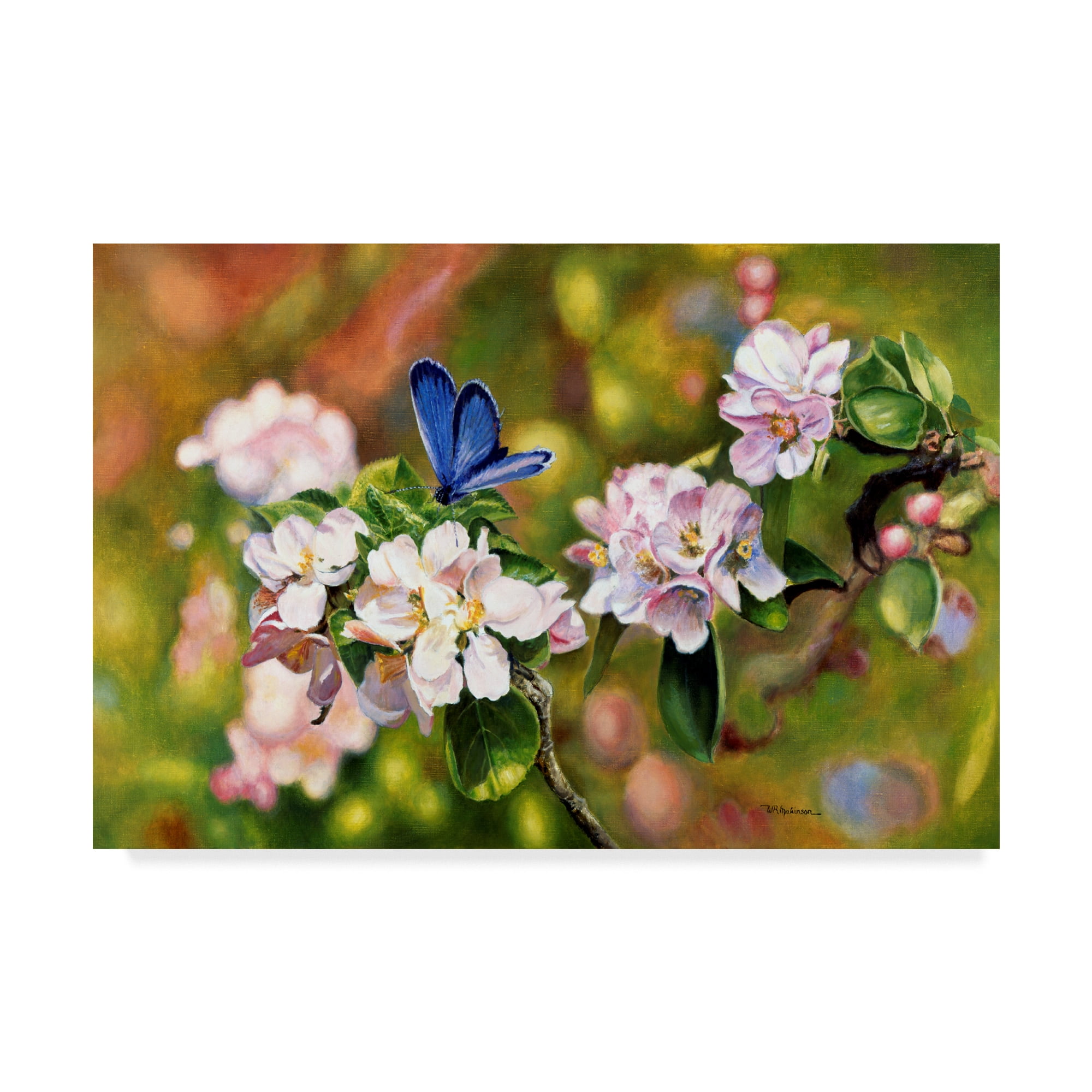 Trademark Fine Art 'Blue On Pink' Canvas Art by Bill Makinson