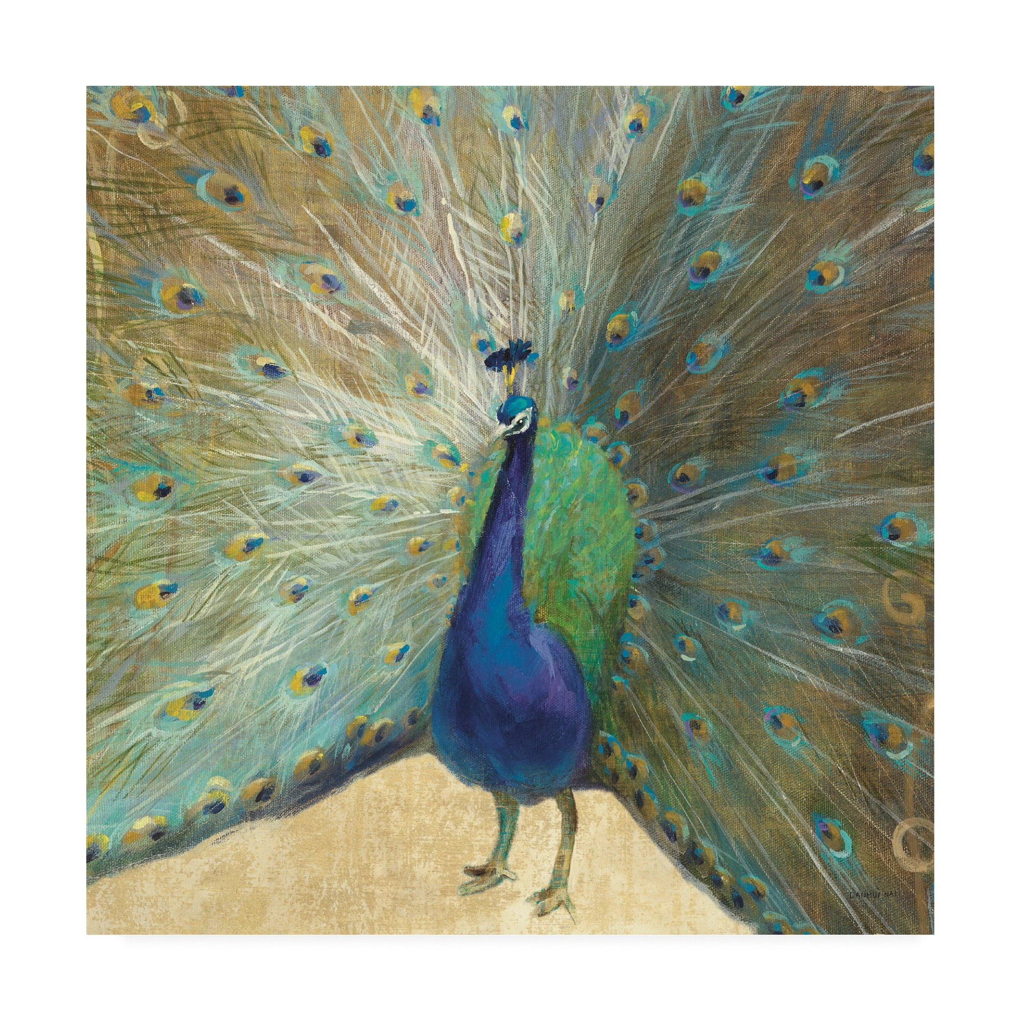 Blue and Green Peacock Print on Canvas Art, 14 x 14