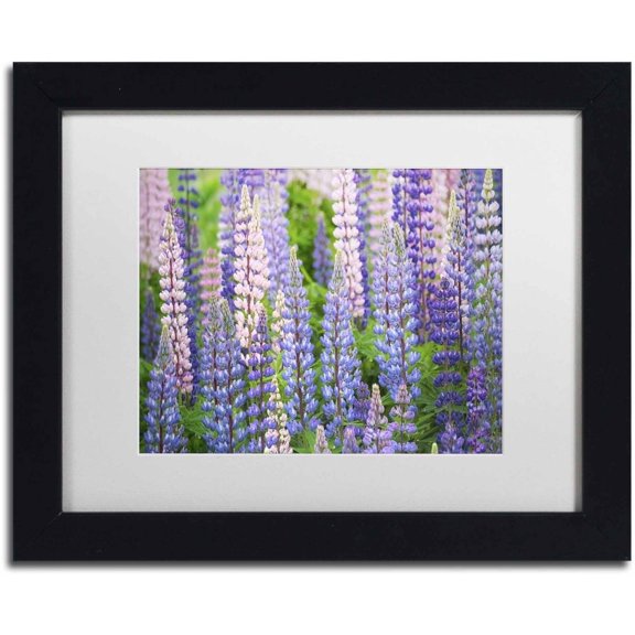 Trademark Fine Art 'Blue Pink Lupine Field' Canvas Art by Cora Niele, White Matte, Black Frame
