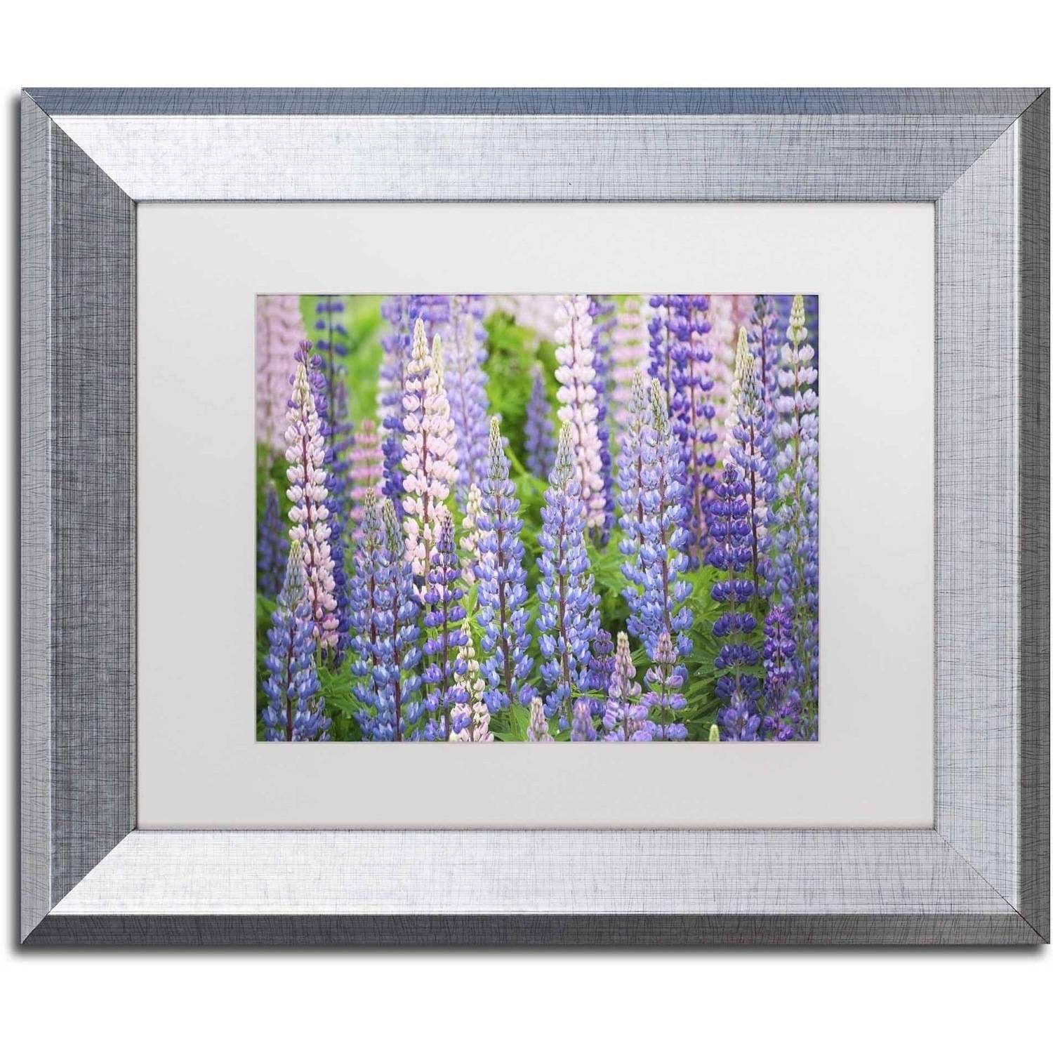 Trademark Fine Art 'Blue Pink Lupine Field' Canvas Art by Cora Niele, White Matte, Silver Frame