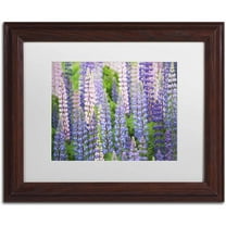 Trademark Fine Art 'Blue Pink Lupine Field' Canvas Art by Cora Niele, White Matte, Wood Frame