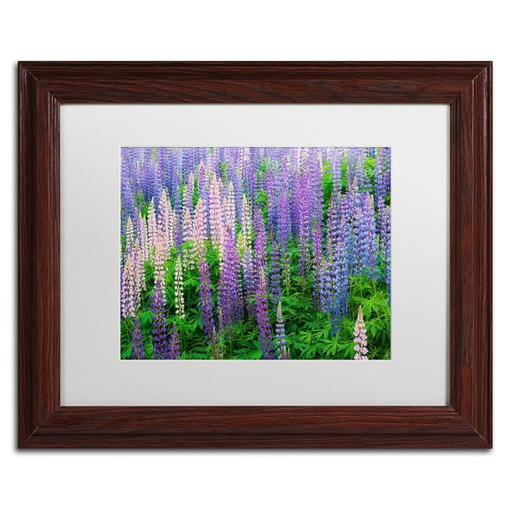 Trademark Fine Art 'Blue Pink Lupine Flower Field' Canvas Art by Cora Niele, White Matte, Wood Frame