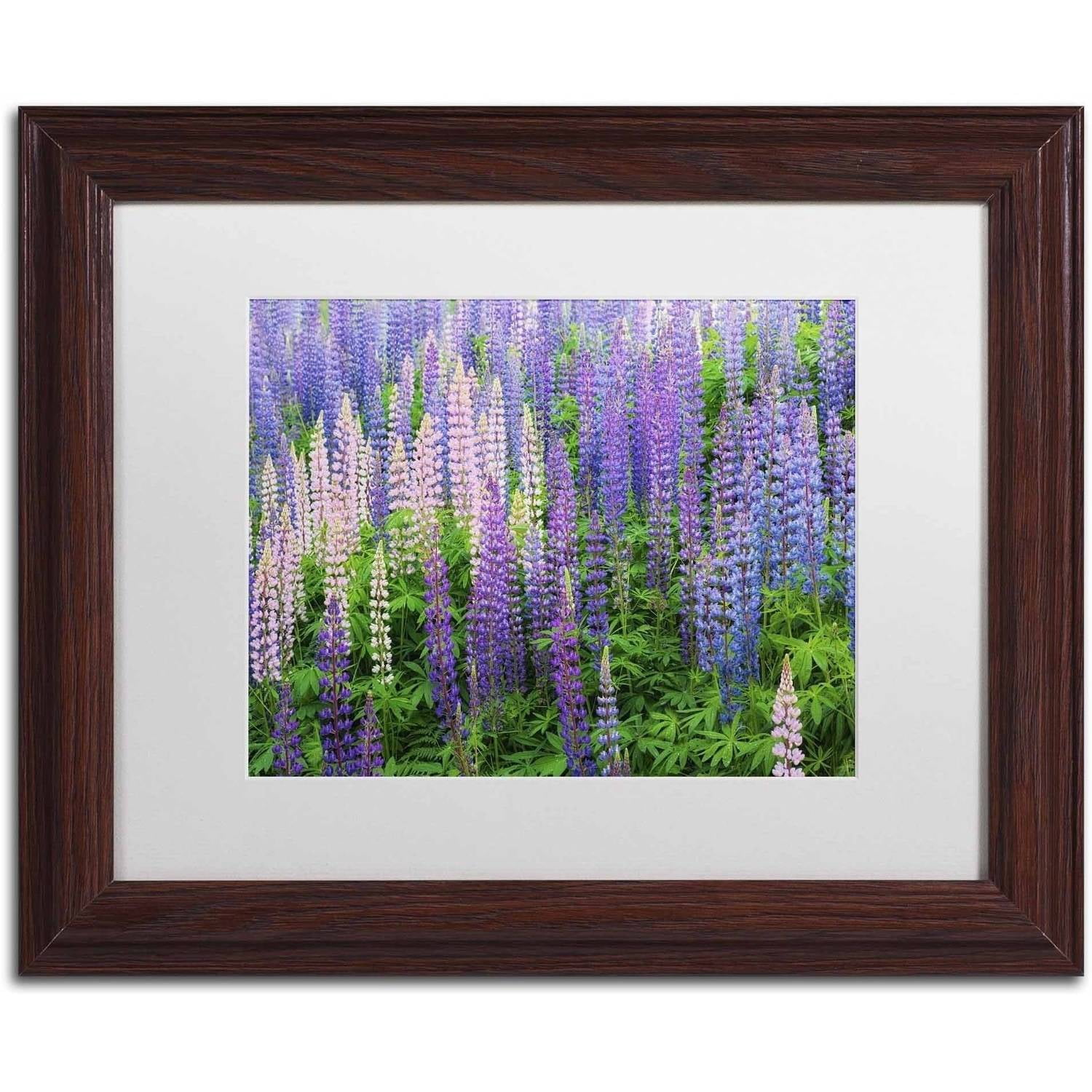 Trademark Fine Art 'Blue Pink Lupine Flower Field' Canvas Art by Cora Niele, White Matte, Wood Frame