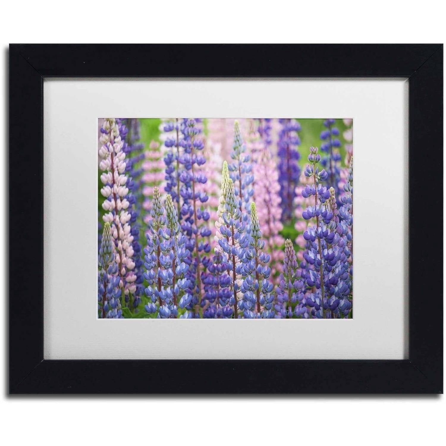 Trademark Fine Art 'Blue Pink Lupine Flowers' Canvas Art by Cora Niele, White Matte, Black Frame