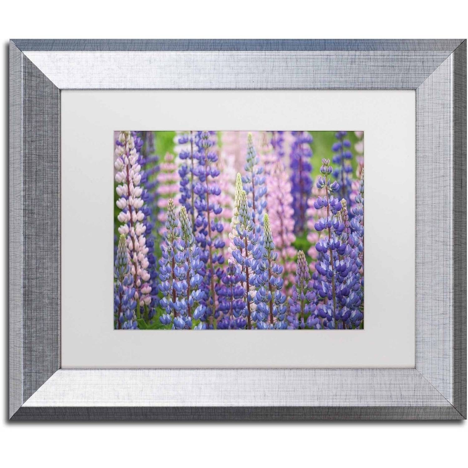 Trademark Fine Art 'Blue Pink Lupine Flowers' Canvas Art by Cora Niele, White Matte, Silver Frame