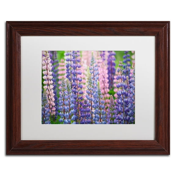Trademark Fine Art 'Blue Pink Lupine Flowers' Canvas Art by Cora Niele, White Matte, Wood Frame