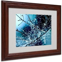 Trademark Fine Art "Blue Rhapsody" Framed Canvas Art by Beata Czyzowska Young