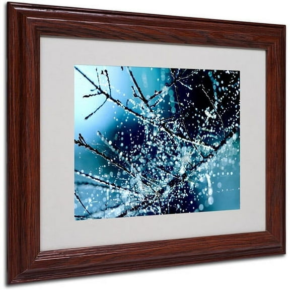 Trademark Fine Art "Blue Rhapsody" Framed Canvas Art by Beata Czyzowska Young