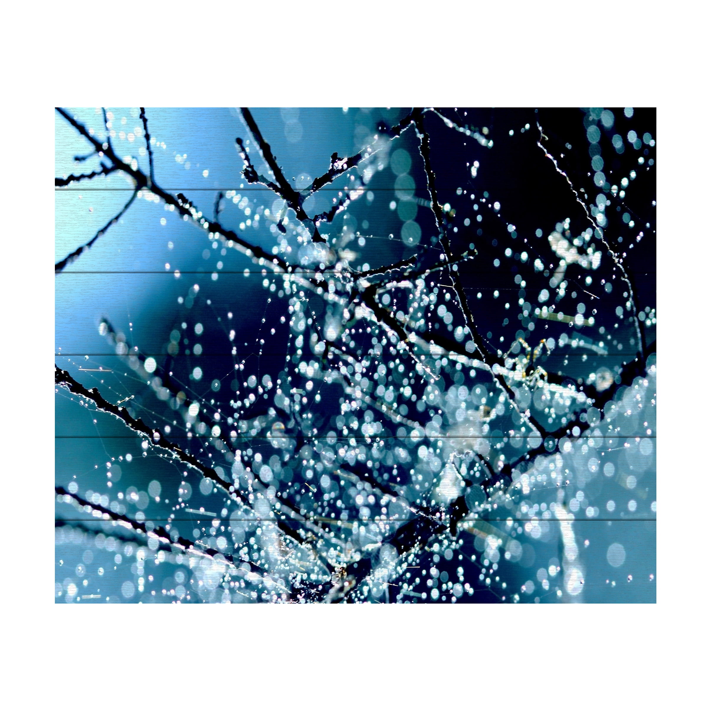 Trademark Fine Art 'Blue Rhapsody' Wooden Wall Art Art by Beata Czyzowska Young