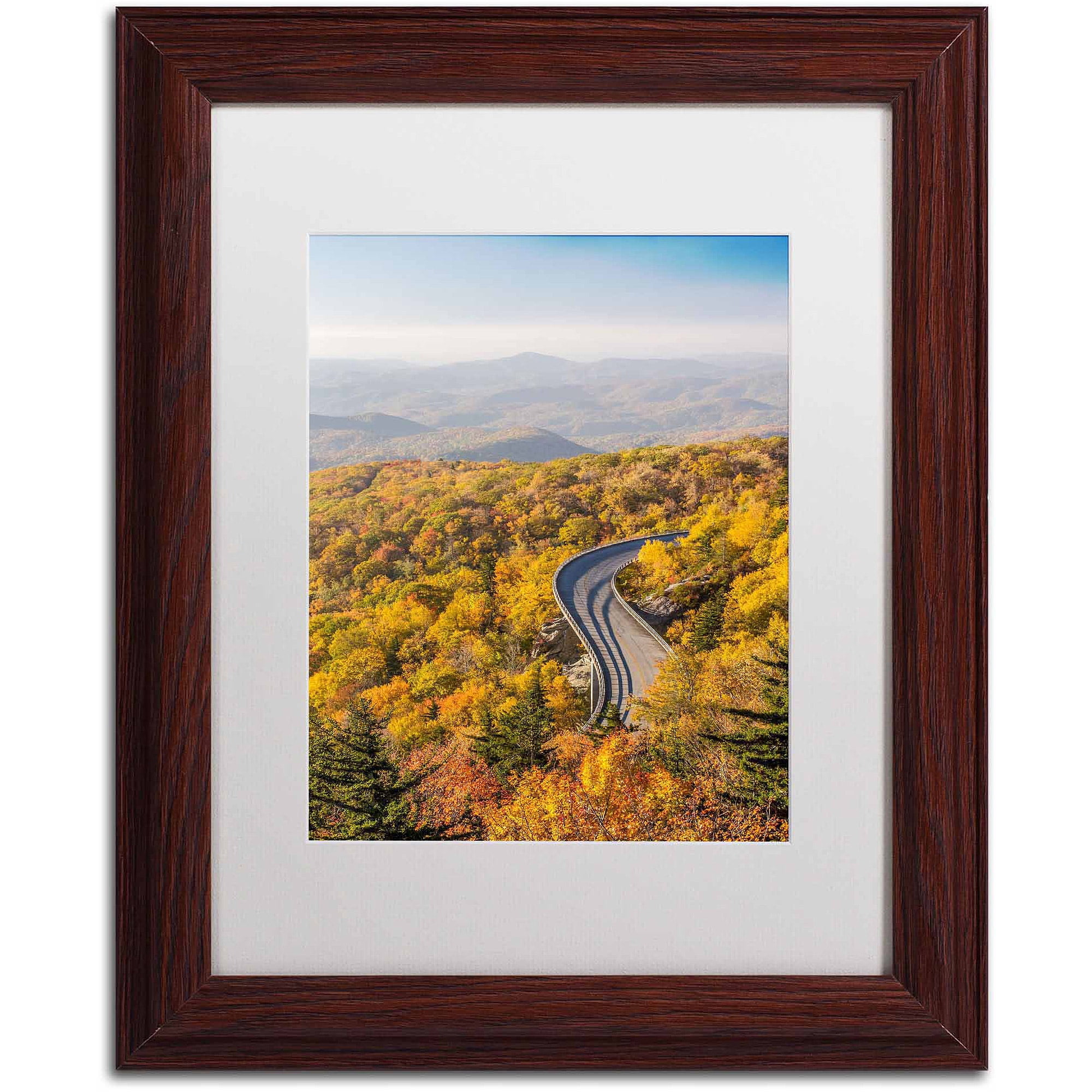 Trademark Fine Art "Blue Ridge Parkway" Canvas Art by Pierre Leclerc, White Matte/Wood Frame