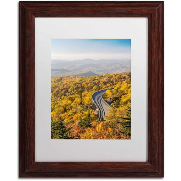 Trademark Fine Art "Blue Ridge Parkway" Canvas Art by Pierre Leclerc, White Matte/Wood Frame