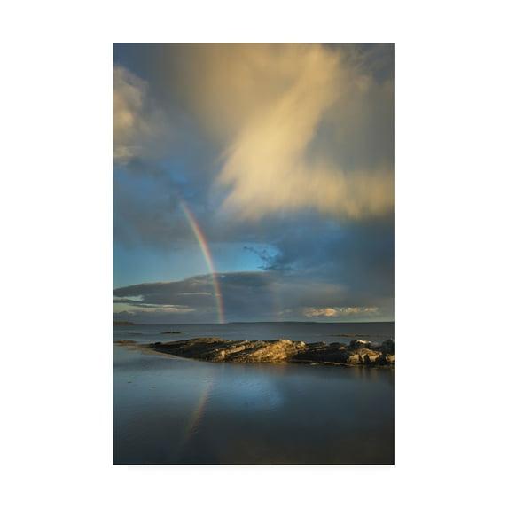 Trademark Fine Art 'Blue Rocks' Canvas Art by Alan Majchrowicz