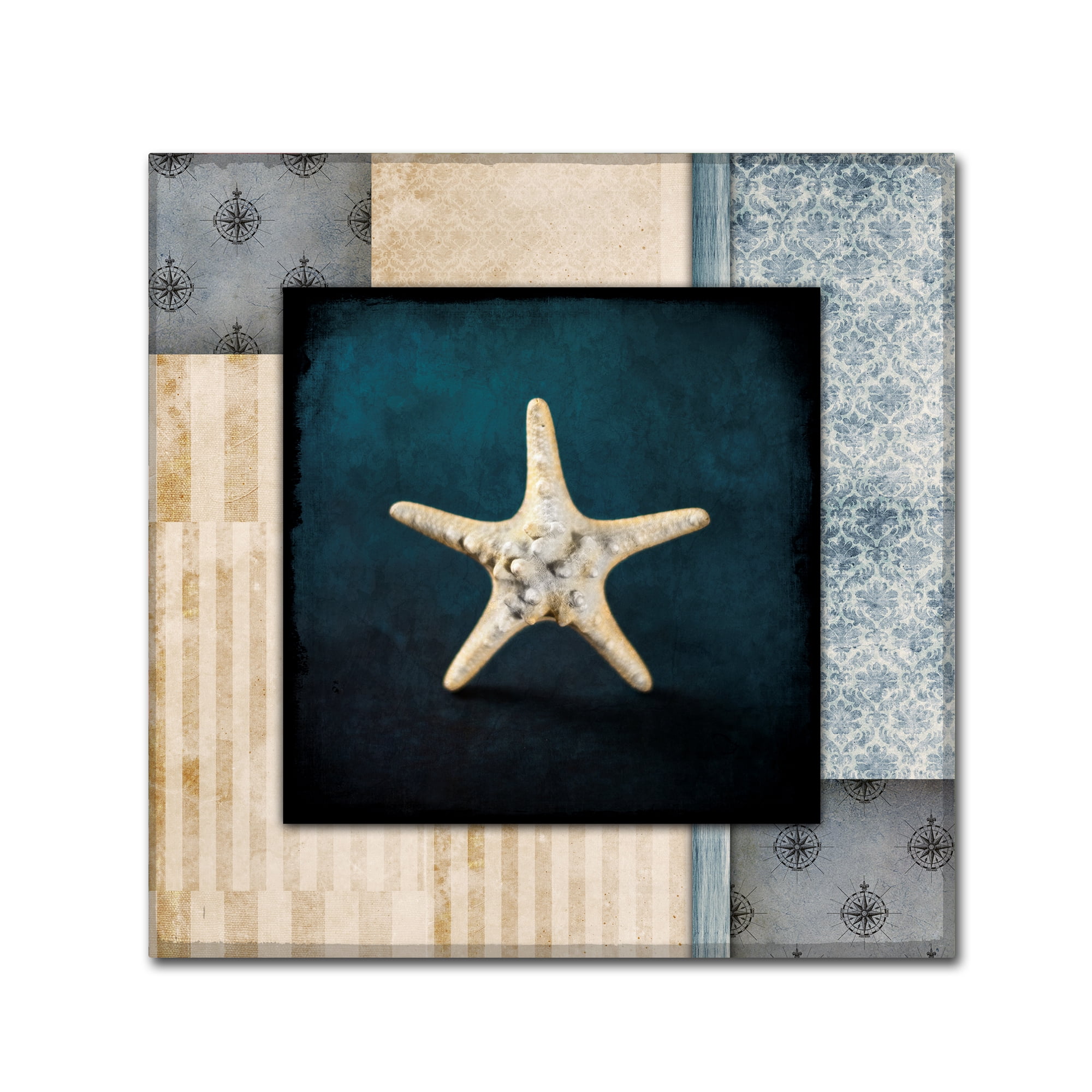 Trademark Fine Art 'Blue Sea Bumpy Star' Canvas Art by LightBoxJournal