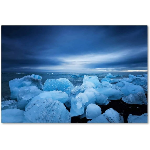 Trademark Fine Art 'Blue Sentinels' Canvas Art by Philippe Sainte-Laudy