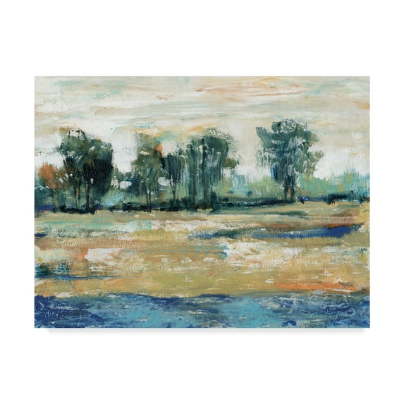 Trademark Fine Art 'Blue Shade I' Canvas Art by Tim OToole