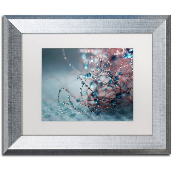 Trademark Fine Art "Blue Silence" Canvas Art by Beata Czyzowska Young, White Matte, Silver Frame