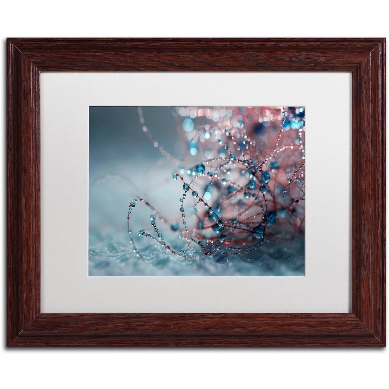 Trademark Fine Art "Blue Silence" Canvas Art by Beata Czyzowska Young, White Matte, Wood Frame