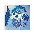 thumbnail image 1 of Trademark Fine Art 'Blue Sky Garden II' Canvas Art by Studio Mousseau, 1 of 3