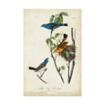 thumbnail image 1 of Trademark Fine Art 'Blue Song Grosbeak' Canvas Art by John James Audubon, 1 of 4