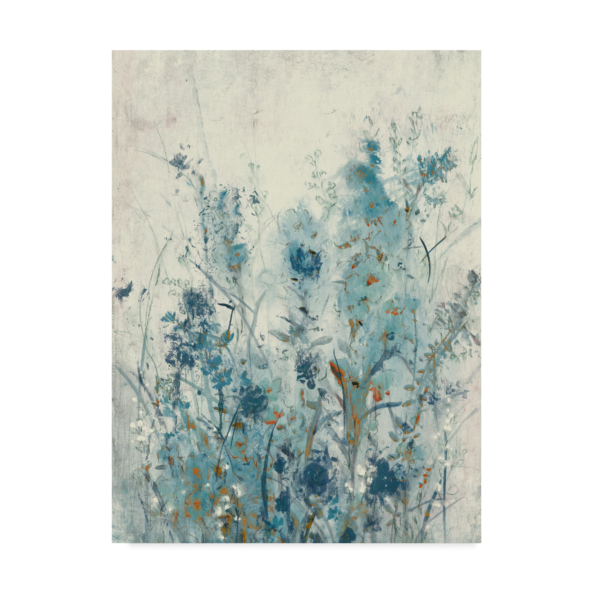 Trademark Fine Art 'Blue Spring II' Canvas Art by Tim OToole