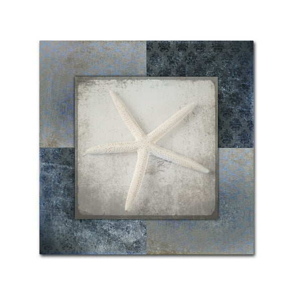 Trademark Fine Art 'Blue Star Fish 2' Canvas Art by LightBoxJournal