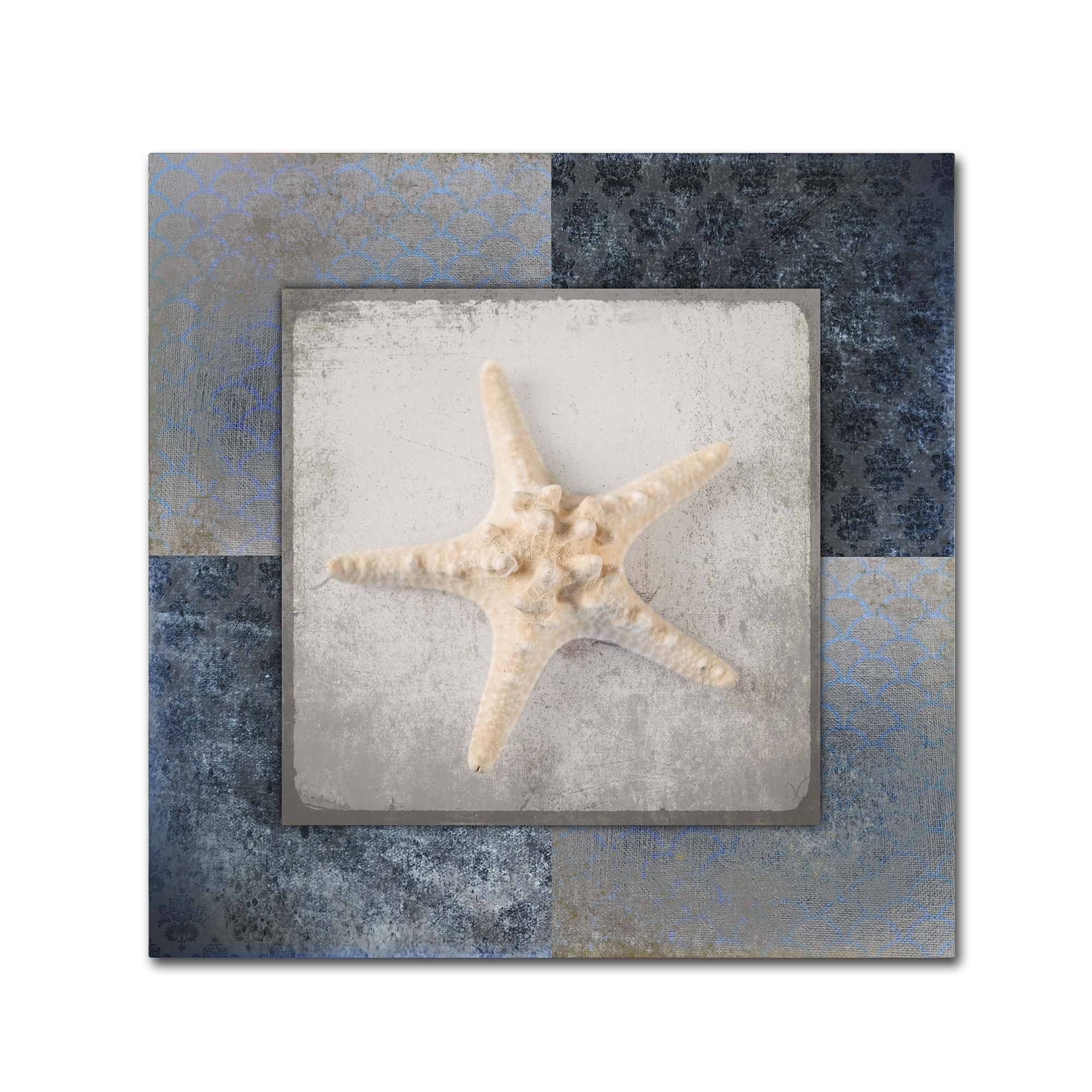 Trademark Fine Art 'Blue Star Fish 3' Canvas Art by LightBoxJournal