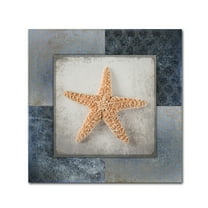 Trademark Fine Art 'Blue Star Fish' Canvas Art by LightBoxJournal