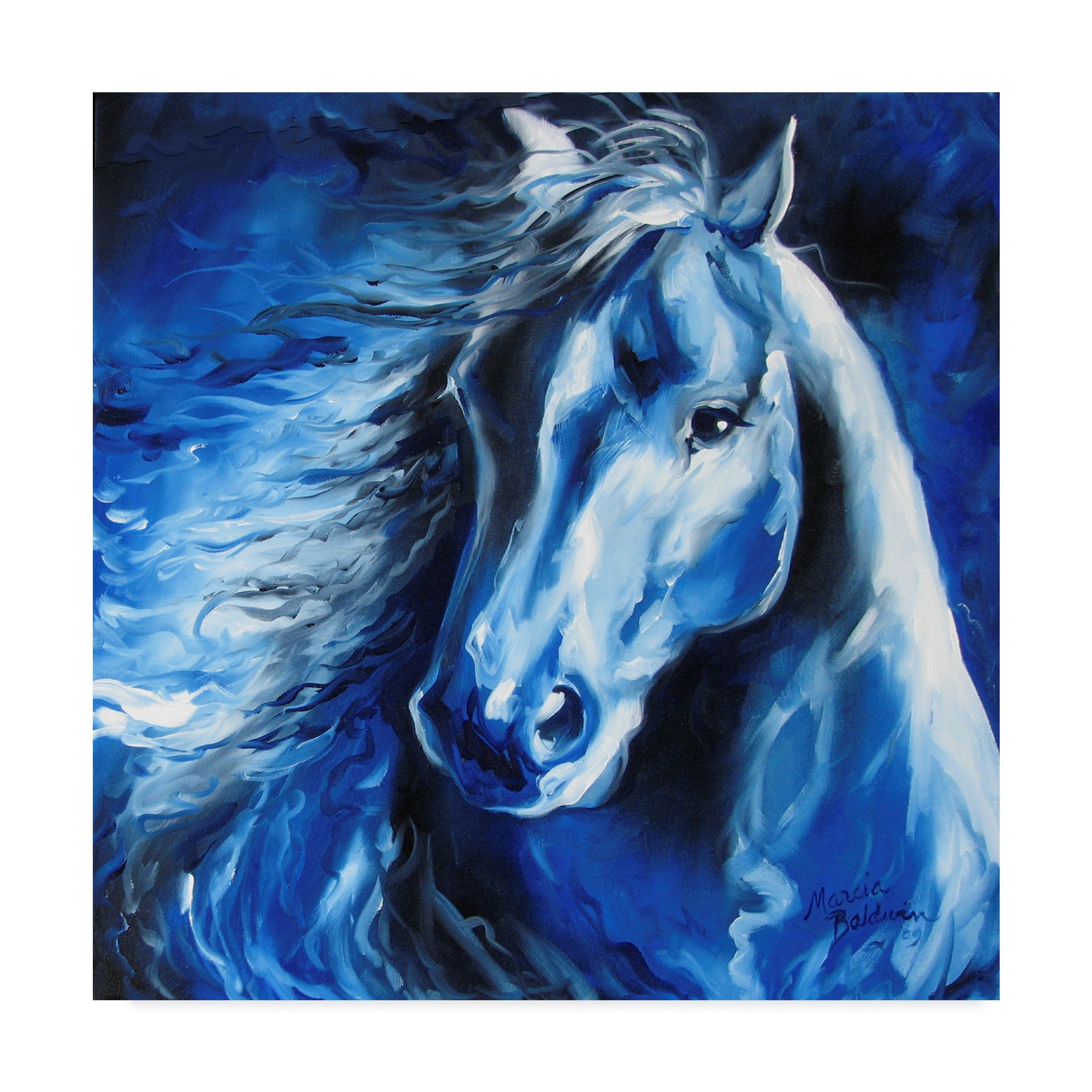Trademark Fine Art 'Blue Thunder' Canvas Art by Marcia Baldwin