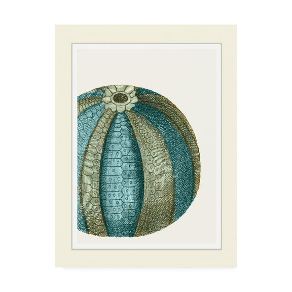 Trademark Fine Art 'Blue Underwater Scenes 1 a' Canvas Art by Fab Funky