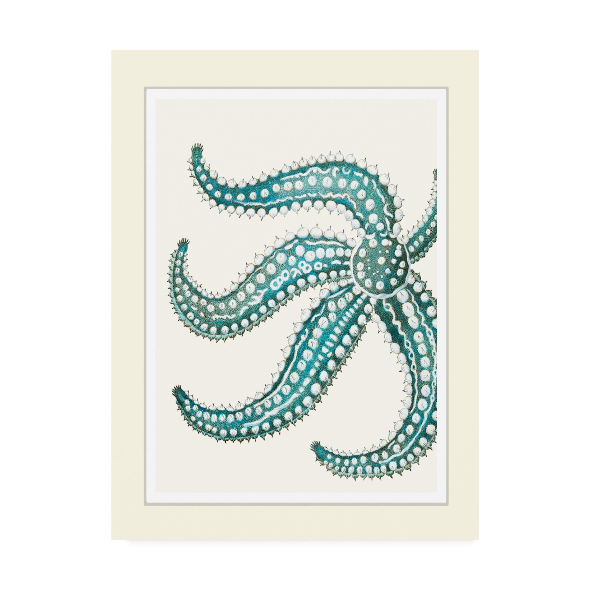 Blue and Teal Starfish Canvas Art, 14 x 19