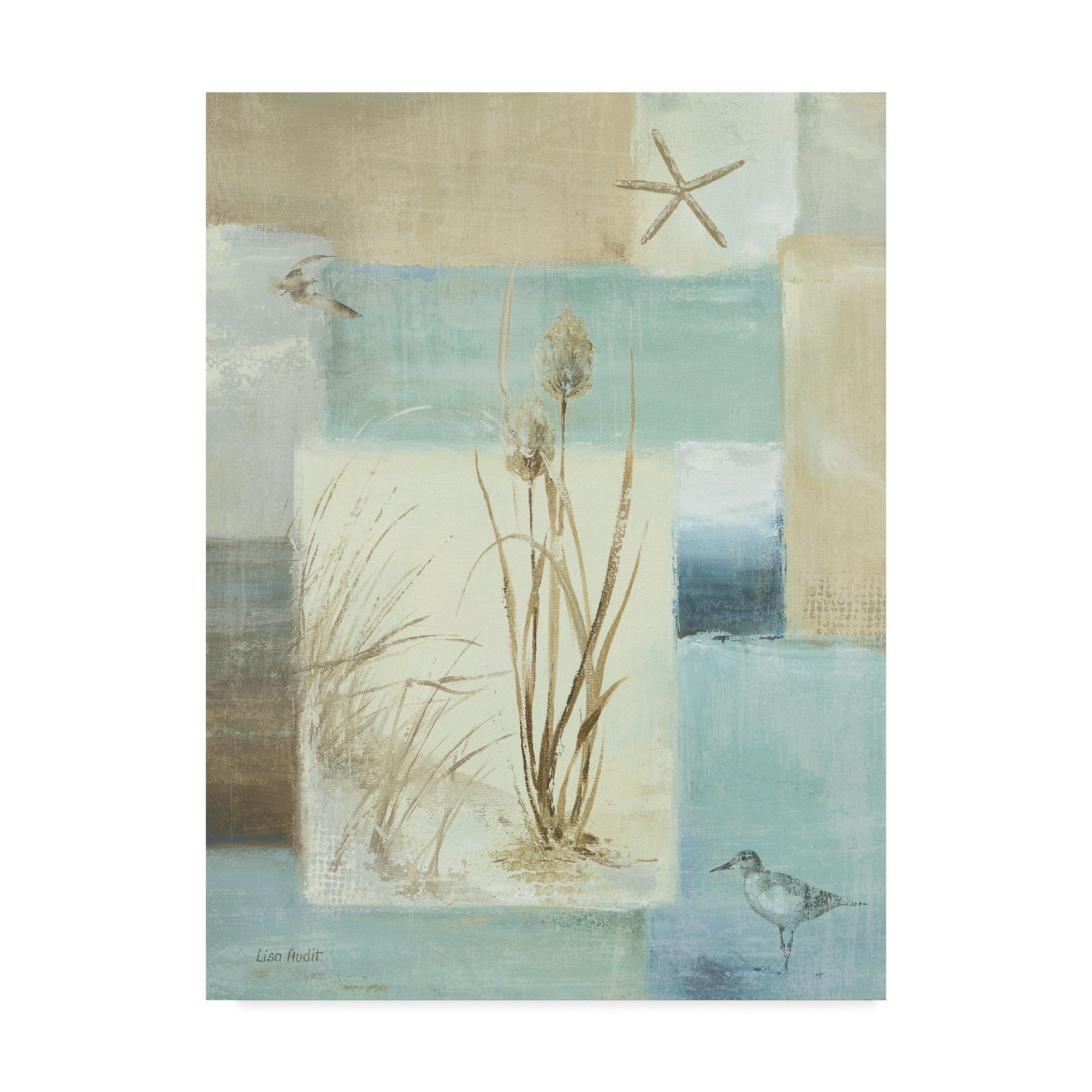 Trademark Fine Art 'Blue Waters I' Canvas Art by Lisa Audit